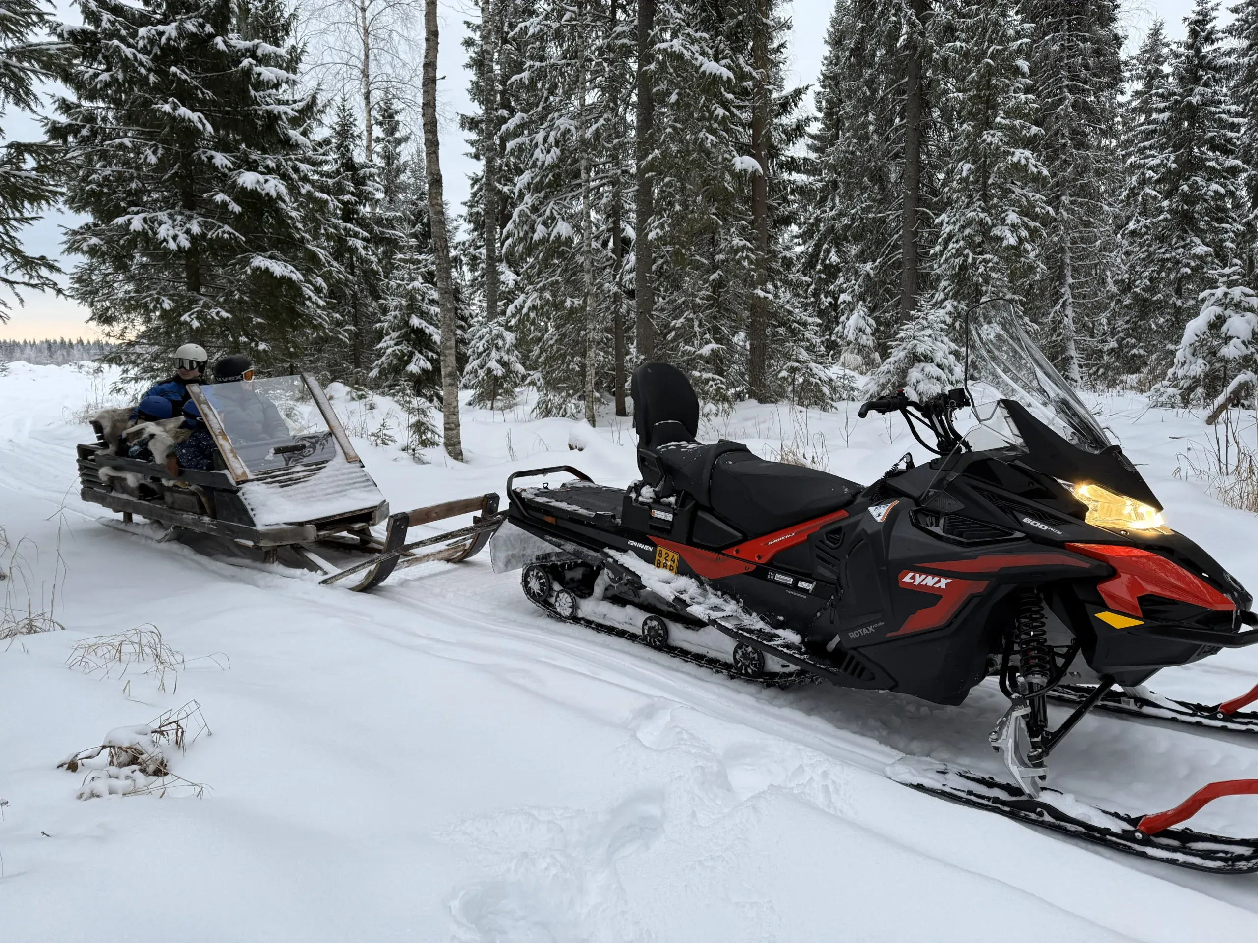 A red and black snowmobile parked in deep snow at the edge of a spruce forest, with a wooden sleigh and a passenger in a helmet behind it